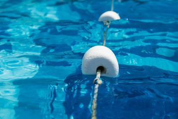 Swimming pool Styrofoam separators floating in the clear water 