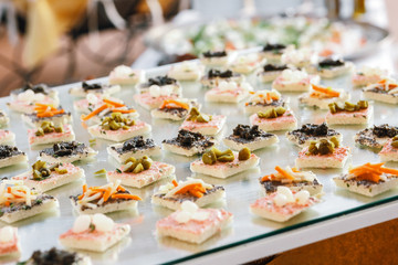 Different kinds of appetizers with olives and vegetables