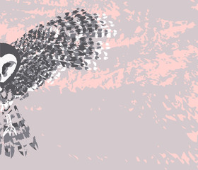Flying owl. Hand drawn vector illustration. Background - 169735424
