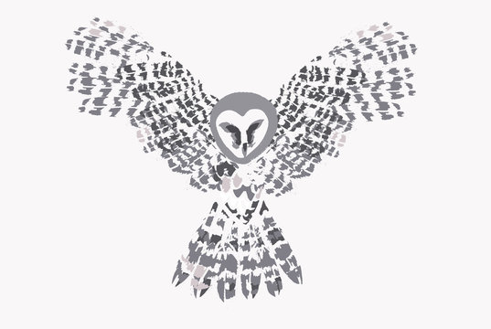 Flying owl. Hand drawn vector illustration.