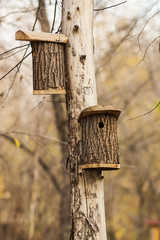 Shelter for birds in the birdhouse hanging on a tree in autumn Park