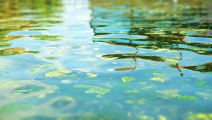 Green water