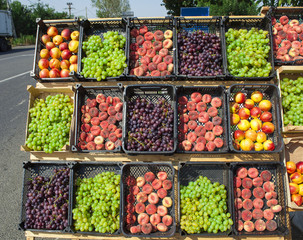 collection of assorted fruits on the street market