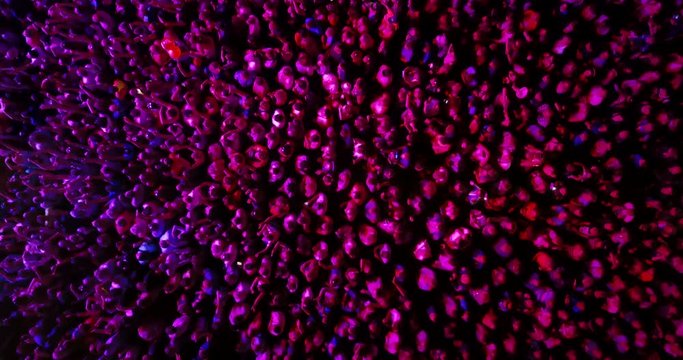  a crowd of people at a concert. drone point of view