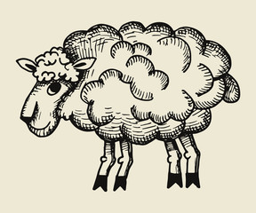 sheep vector. hand drawing