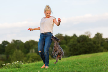 woman plays with a terrier hybrid dog on a meadow