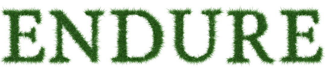 Endure - 3D rendering fresh Grass letters isolated on whhite background.