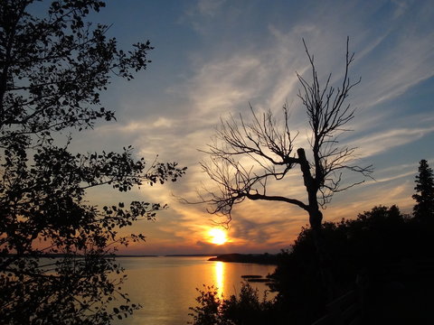 Lake, old tree and beautiful sunset at Lac La Biche, Alberta Canada