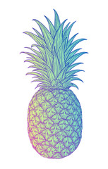 Hand drawn decorative pineapple. Stylized colorful fruit. Summer spring background, nature collection. Vector illustration