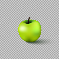 Green apple in a realistic style on transparent background, isolated. Vector illustration