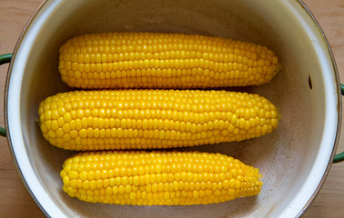 Hot corn VII