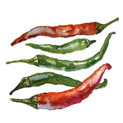 Watercolor chili peppers isolated on a white background