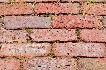 Nineteenth century rough red paving bricks in daylight