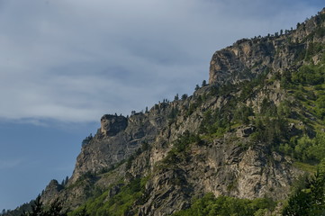 Fototapeta na wymiar Mountain top of eagle's rock overgrown with coniferous forest and glade of Rila mountain, Bulgaria 