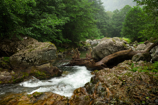 turbulent stream of mountain river among large stones and green trees