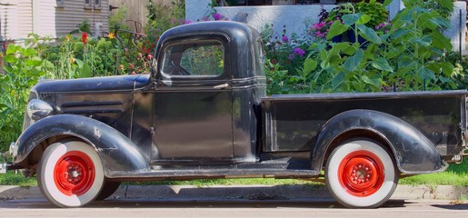 Antique black pickup in front of flower garden
