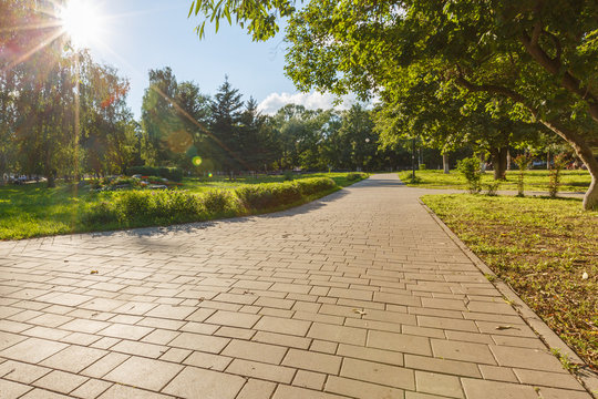 Paved With Tiles Path In The Park