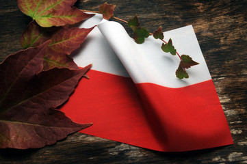 Flaga polska...poważnie? © Comugnero Silvana