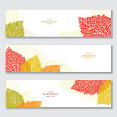 Set of nature banners with autumn leaves 