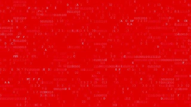 Computer Data Error