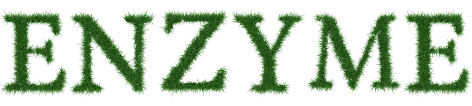 Enzyme - 3D rendering fresh Grass letters isolated on whhite background.