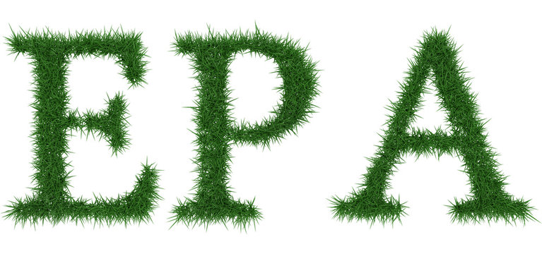 Epa - 3D rendering fresh Grass letters isolated on whhite background.
