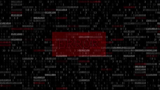 Computer Data Error