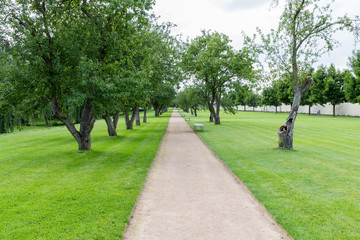 Path through the park