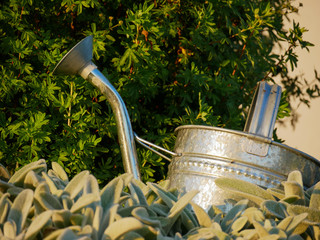 Metallgie&szlig;kanne im Garten