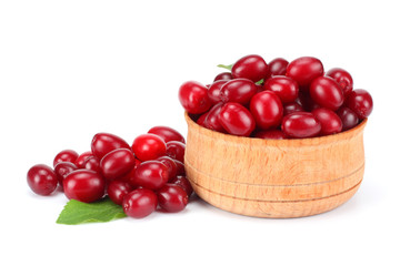 dogwood berries in wooden bowl isolated on white background