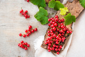 The leaves and berries of red currant on piece of old wood. Top view