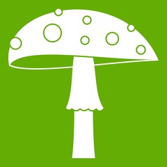 Amanita icon green