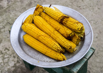 Boiled corn on an aluminum tray. Yellow boiled young corn, useful and tasty food