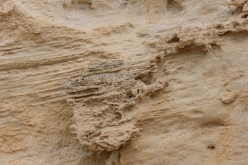 Front view of the natural background of yellow limestone with the bumpy surface with dark hollows that are smoothed by the sea waves 04