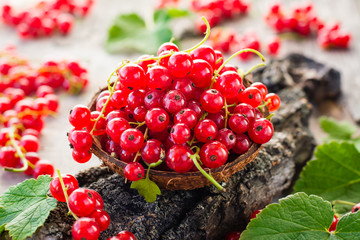 Red currant in a bowl on a tree bark. Close up