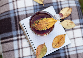 tea in a glass cup and notepad for notes, the concept of autumn, woolen blankets.
