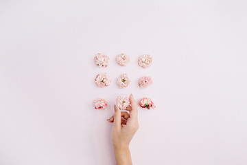 Girl's hand holding pink dry rose buds on pink background. Flat lay, top view. Flowers background.
