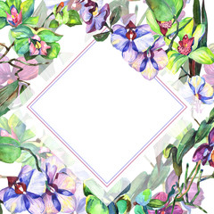 Wildflower orchid flower frame in a watercolor style. Full name of the plant: orchid flower. Aquarelle wild flower for background, texture, wrapper pattern, frame or border.