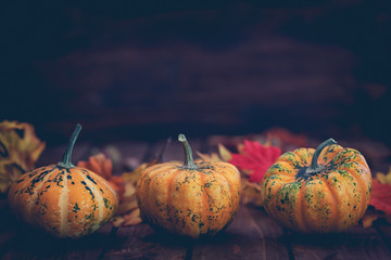 Autumn pumpkins with colorful leaves on the old wooden background