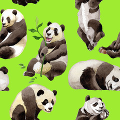 Panda wild animal pattern in a watercolor style. Full name of the animal: panda. Aquarelle wild animal for background, texture, wrapper pattern or tattoo.