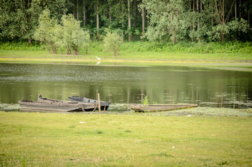 The boat on the lake shore 