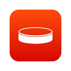 Puck icon digital red