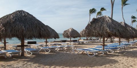 Vip soft sunbed on the sunny beach