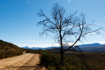 Landscape with dusty road and tree with mountains