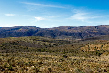 Bushy landscape with mountains