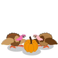 Colorful turkey and pumpkin, white background