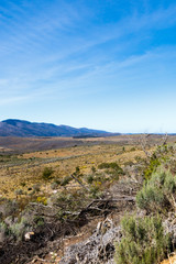 Dry Bushes in the field with mountains