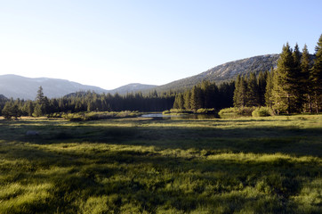 Yosemite national park, USA