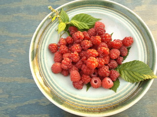 Fresh raspberries in a bowl