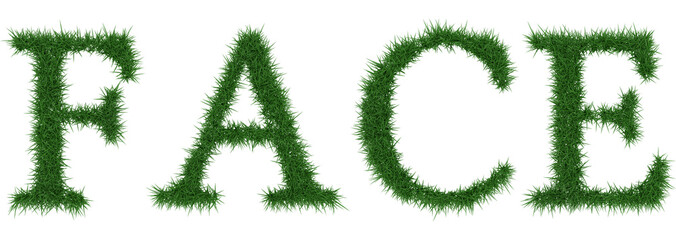 Face - 3D rendering fresh Grass letters isolated on whhite background.